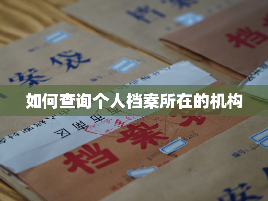如何查询个人档案所在的机构