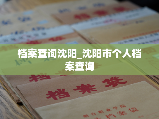 档案查询沈阳_沈阳市个人档案查询