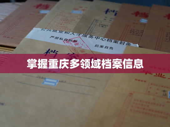 掌握重庆多领域档案信息