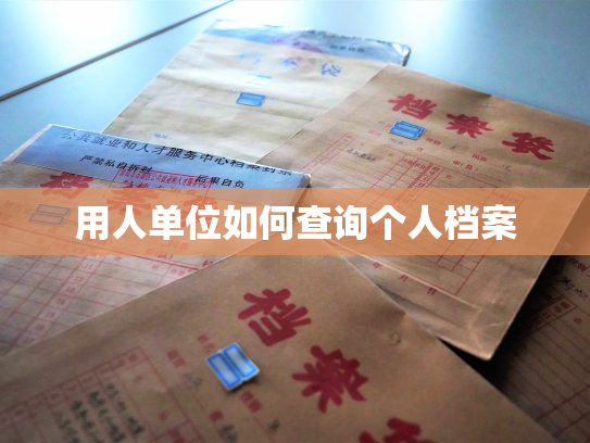 用人单位如何查询个人档案