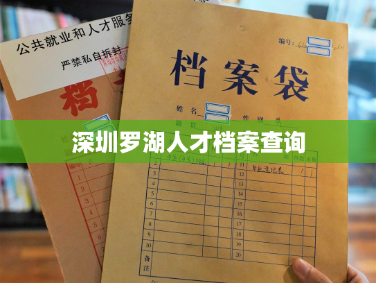 深圳罗湖人才档案查询