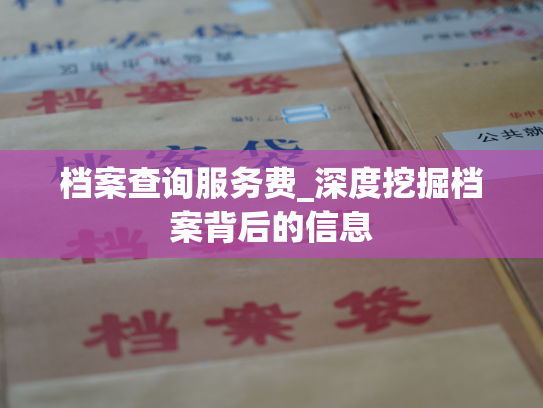 档案查询服务费_深度挖掘档案背后的信息
