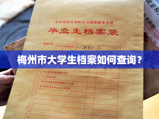 梅州市大学生档案如何查询？