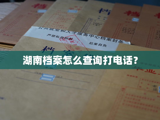 湖南档案怎么查询打电话？