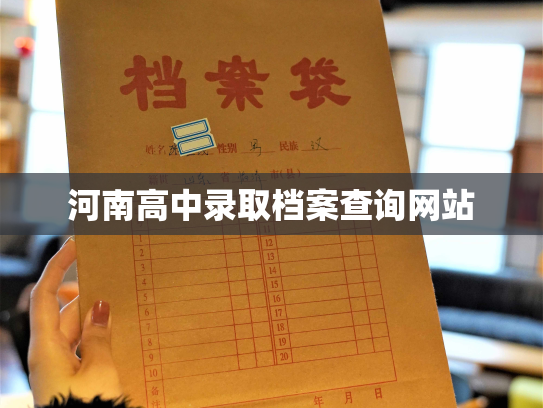 河南高中录取档案查询网站