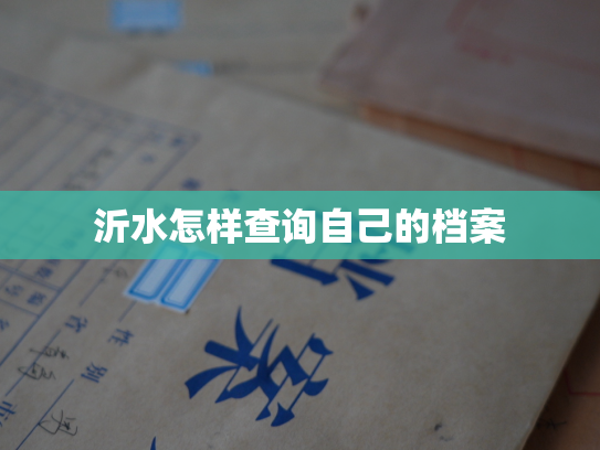 沂水怎样查询自己的档案