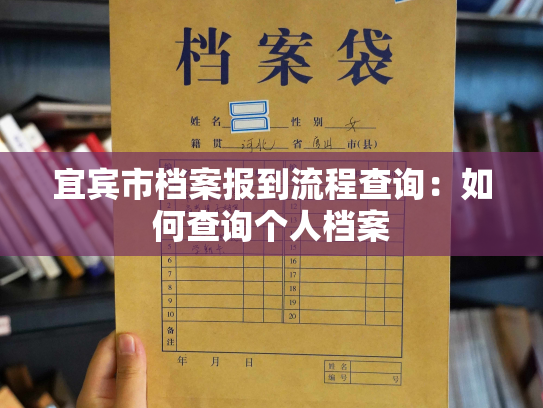 宜宾市档案报到流程查询：如何查询个人档案