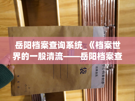 岳阳档案查询系统_《档案世界的一股清流——岳阳档案查询系统的背后故事》