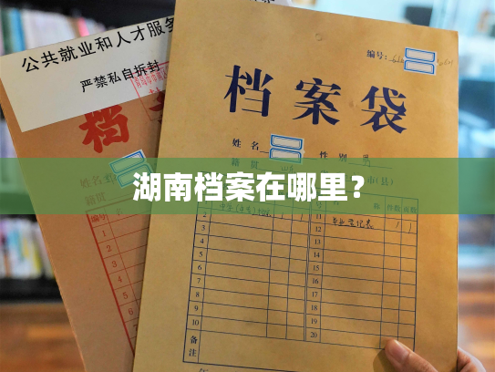 湖南档案在哪里？