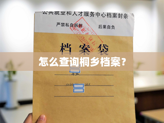 怎么查询桐乡档案？