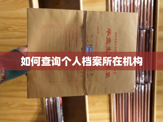 如何查询个人档案所在机构
