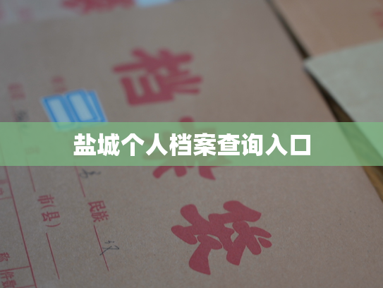 盐城个人档案查询入口
