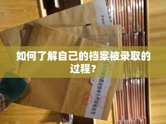 如何了解自己的档案被录取的过程？