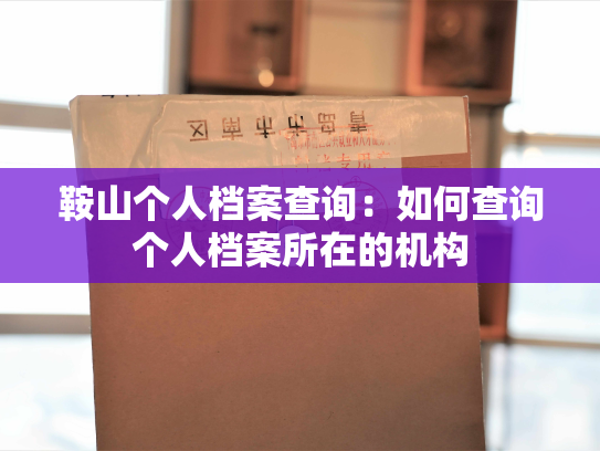 鞍山个人档案查询：如何查询个人档案所在的机构