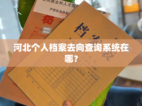 河北个人档案去向查询系统在哪？