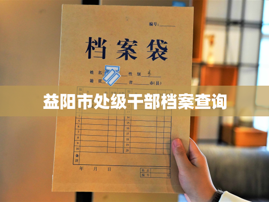 益阳市处级干部档案查询