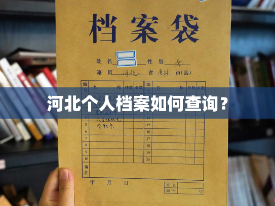 河北个人档案如何查询？