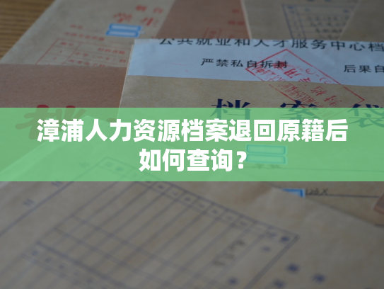 漳浦人力资源档案退回原籍后如何查询？