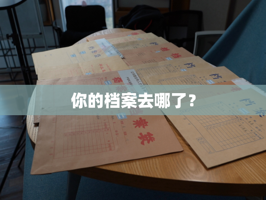 你的档案去哪了？