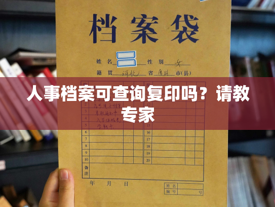 人事档案可查询复印吗？请教专家