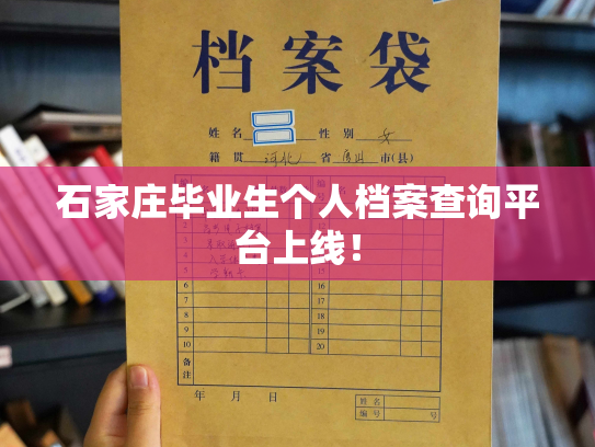 石家庄毕业生个人档案查询平台上线！