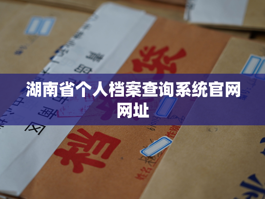 湖南省个人档案查询系统官网网址