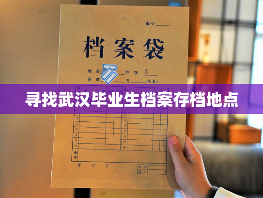 寻找武汉毕业生档案存档地点
