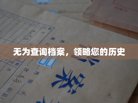 无为查询档案，领略您的历史