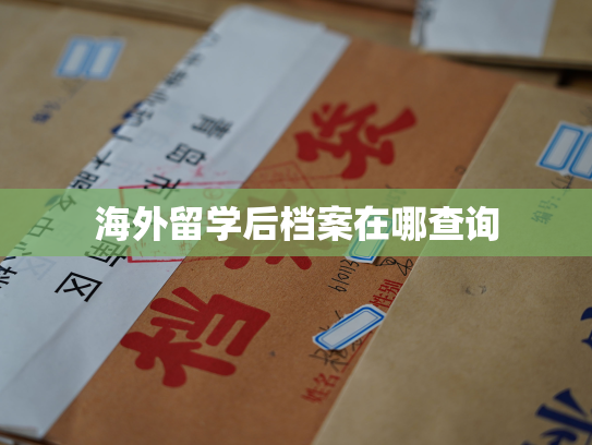 海外留学后档案在哪查询