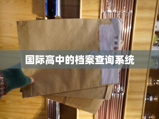 国际高中的档案查询系统