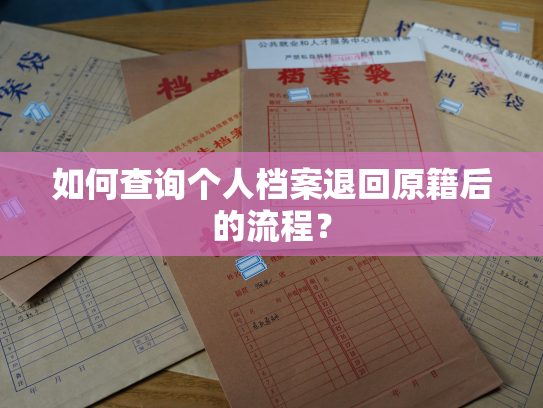 如何查询个人档案退回原籍后的流程？