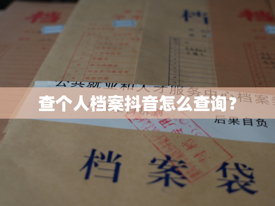 查个人档案抖音怎么查询？