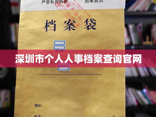 深圳市个人人事档案查询官网