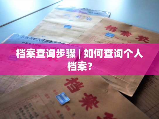 档案查询步骤 | 如何查询个人档案？