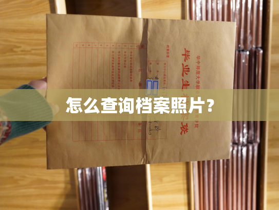 怎么查询档案照片？