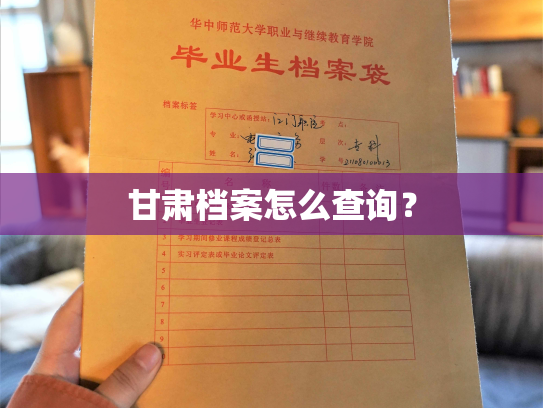 甘肃档案怎么查询？