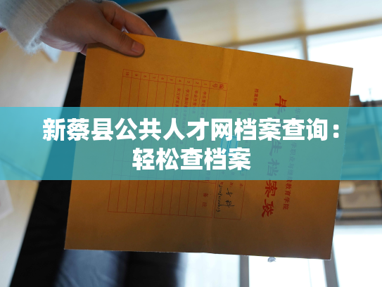 新蔡县公共人才网档案查询：轻松查档案