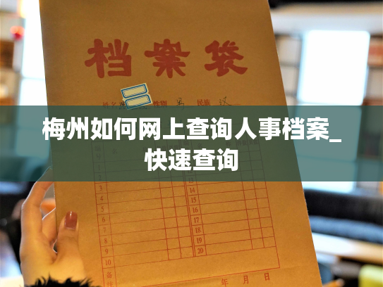 梅州如何网上查询人事档案_快速查询