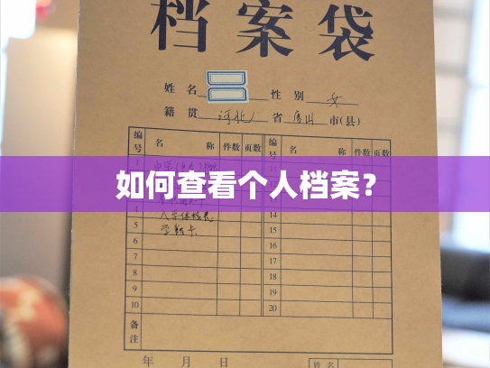 如何查看个人档案？