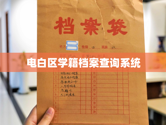 电白区学籍档案查询系统
