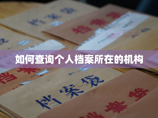 如何查询个人档案所在的机构