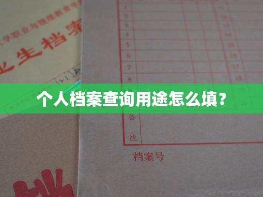 个人档案查询用途怎么填？