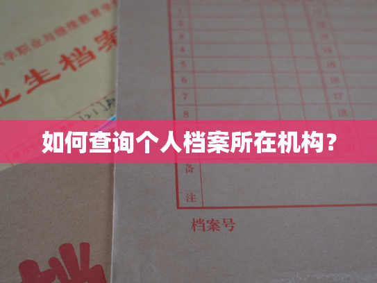 如何查询个人档案所在机构？