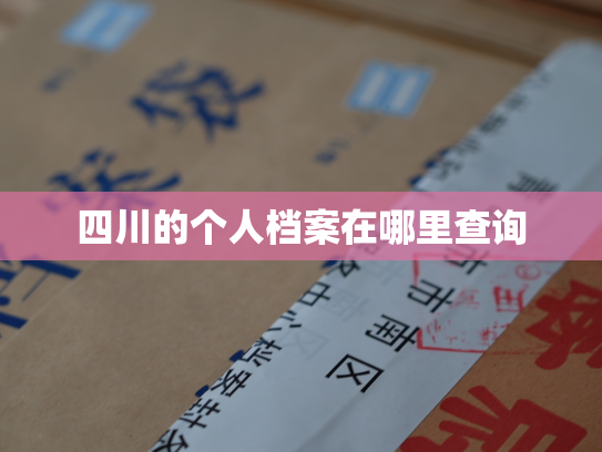 四川的个人档案在哪里查询