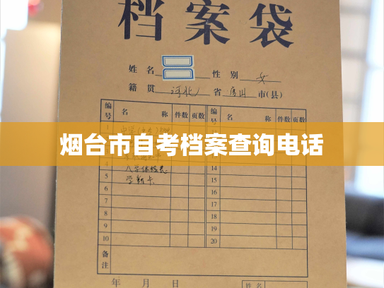 烟台市自考档案查询电话