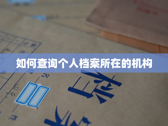 如何查询个人档案所在的机构