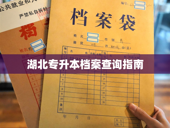 湖北专升本档案查询指南