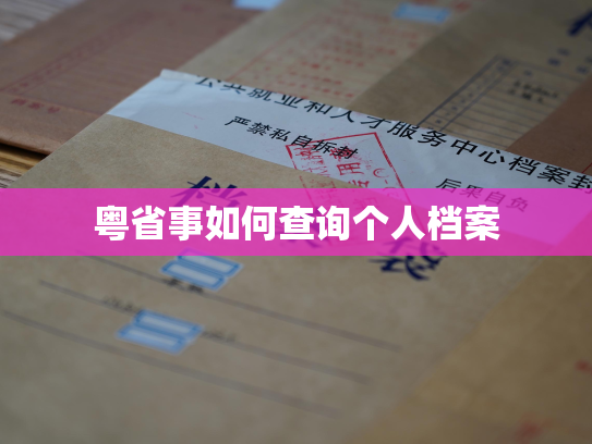 粤省事如何查询个人档案