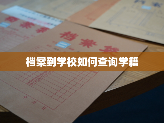 档案到学校如何查询学籍
