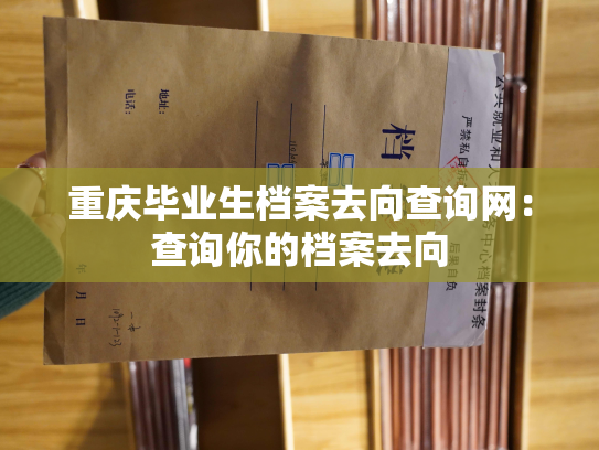 重庆毕业生档案去向查询网：查询你的档案去向